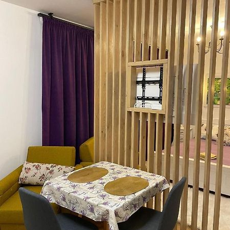 Apartament Gabriela 39 Baia Mare Eksteriør billede