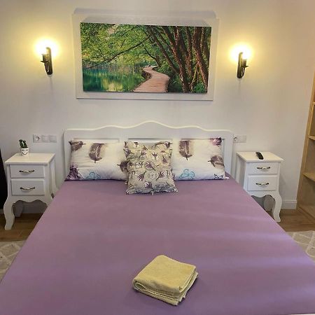 Apartament Gabriela 39 Baia Mare Eksteriør billede