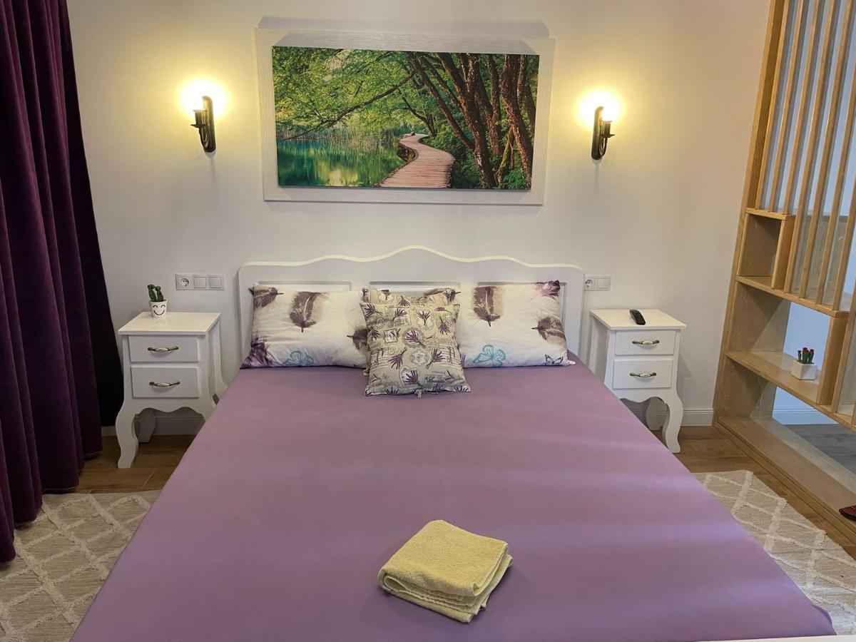Apartament Gabriela 39 Baia Mare Eksteriør billede