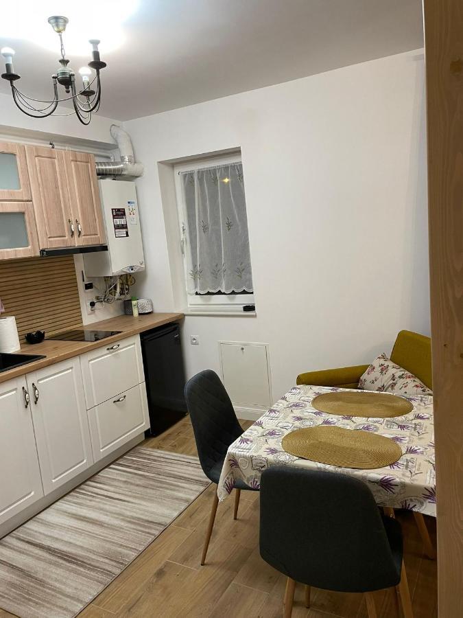 Apartament Gabriela 39 Baia Mare Eksteriør billede