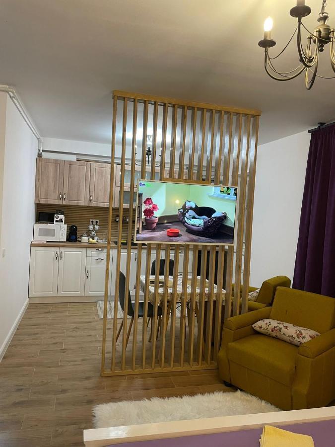Apartament Gabriela 39 Baia Mare Eksteriør billede