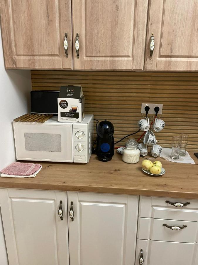 Apartament Gabriela 39 Baia Mare Eksteriør billede