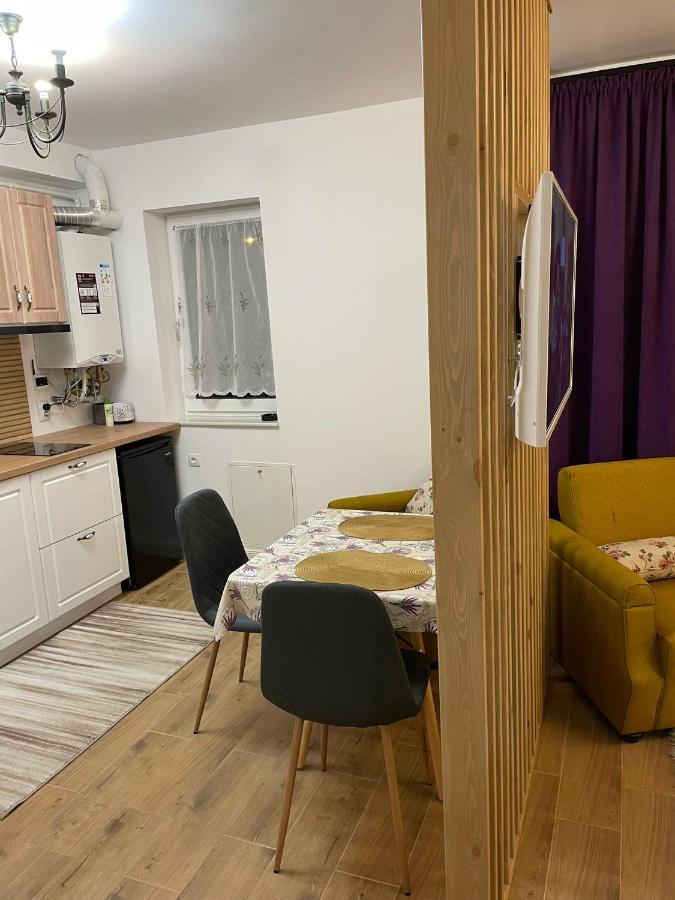 Apartament Gabriela 39 Baia Mare Eksteriør billede