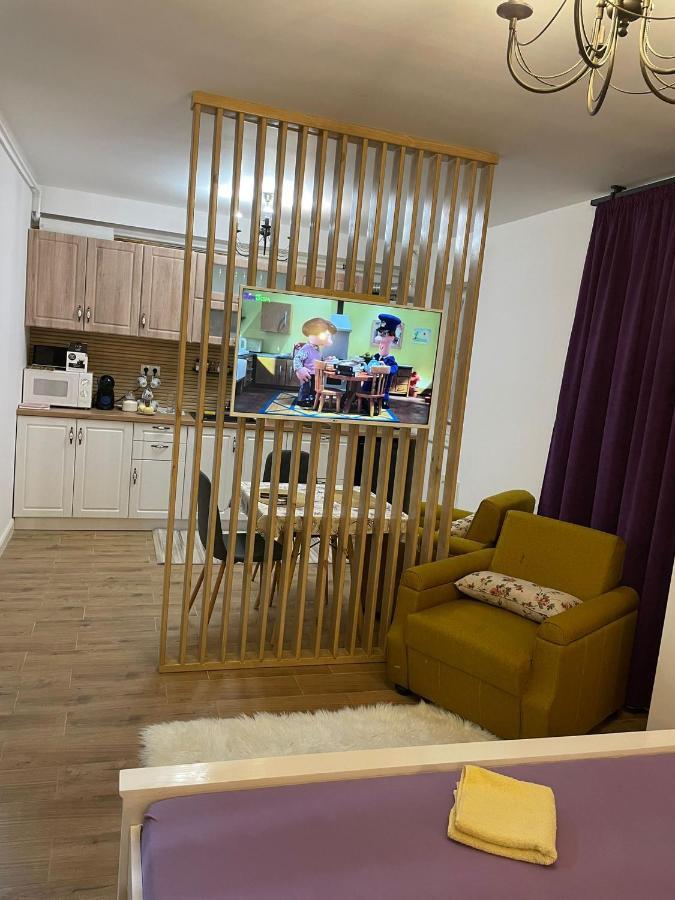 Apartament Gabriela 39 Baia Mare Eksteriør billede