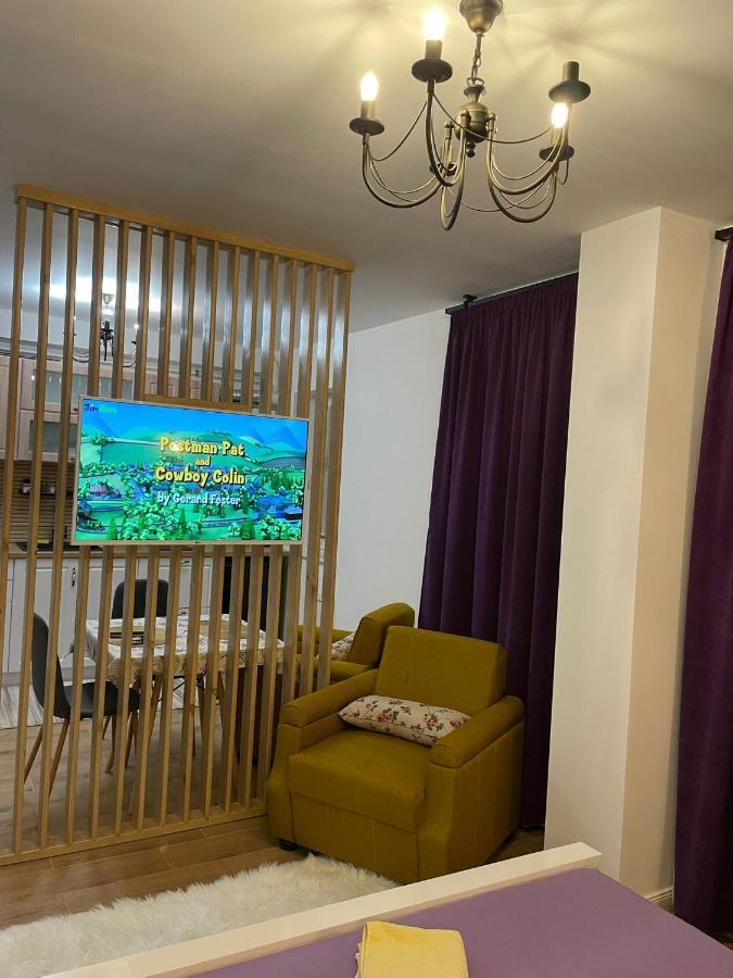 Apartament Gabriela 39 Baia Mare Eksteriør billede