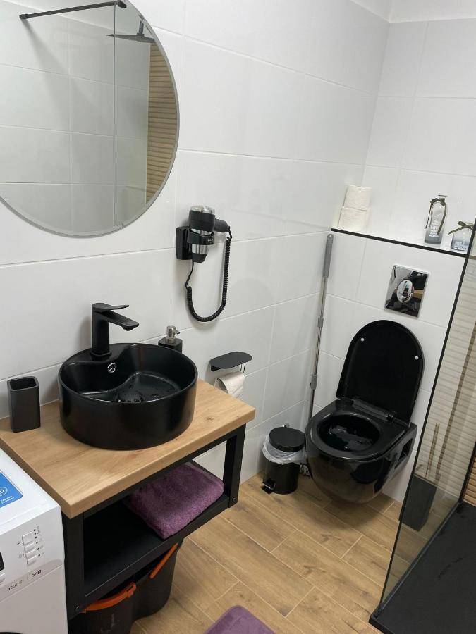 Apartament Gabriela 39 Baia Mare Eksteriør billede