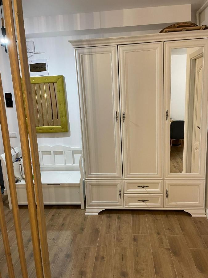Apartament Gabriela 39 Baia Mare Eksteriør billede